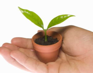 ���j�C���[�W